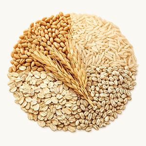 Grains